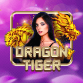 Dragon Tiger live casino table art