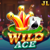 Wild Ace slot game art